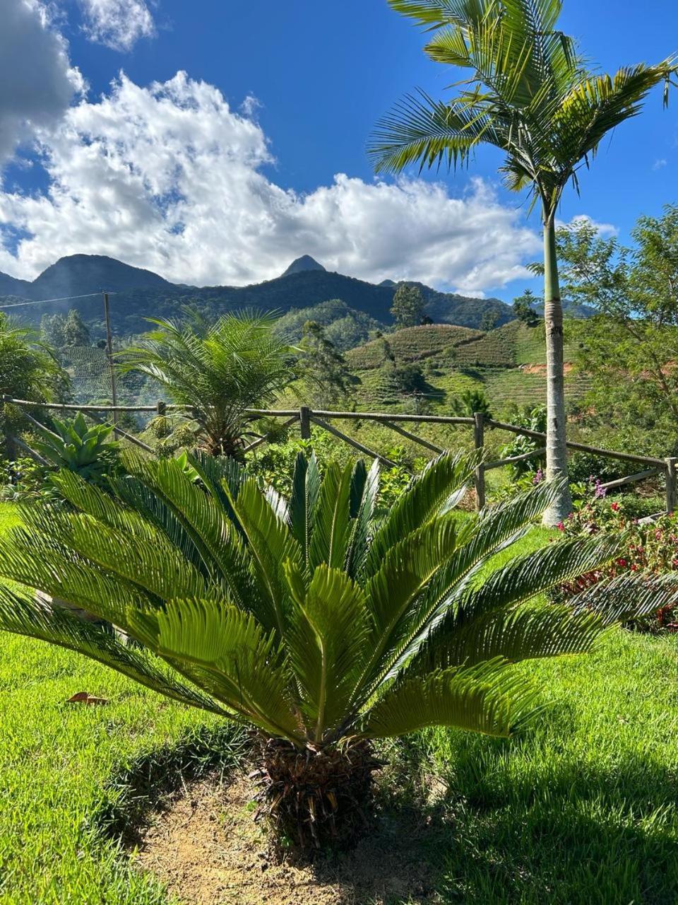 Flor Do Caparao Em Chalet Patrimonio da Penha