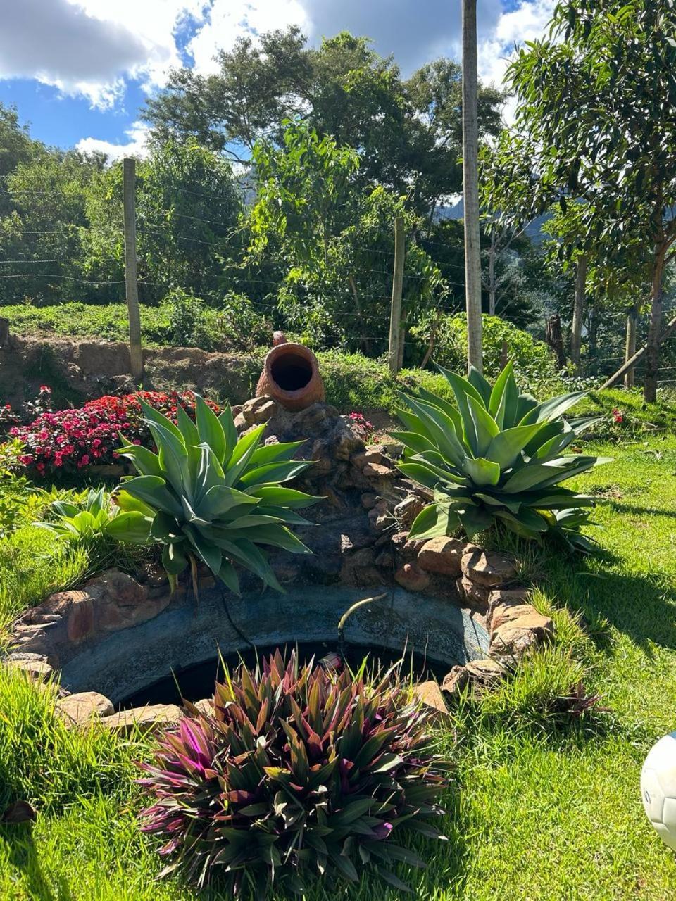 Flor Do Caparao Em Chalet
