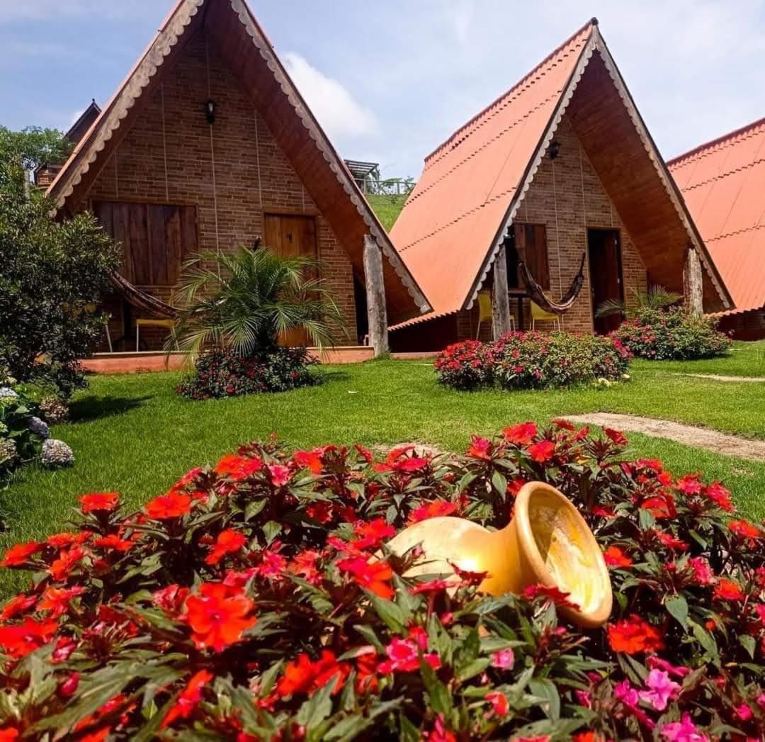 Flor Do Caparao Em Chalet