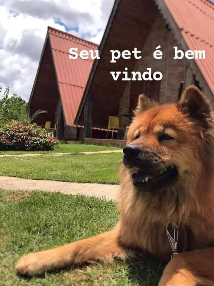 Flor Do Caparao Em Chalet Patrimonio da Penha